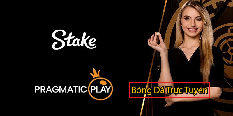 Trang chơi casino trực tuyến uy tín nhất Châu Âu – STAKE