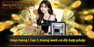 Top 5 trang web cá độ hợp pháp tại Việt Nam